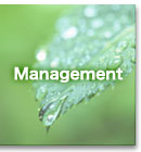 ???????????Z???Ɋւ??鑊?k?́@????????N???b?N